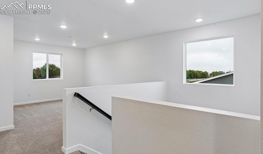 9342 Golden Buffs Drive