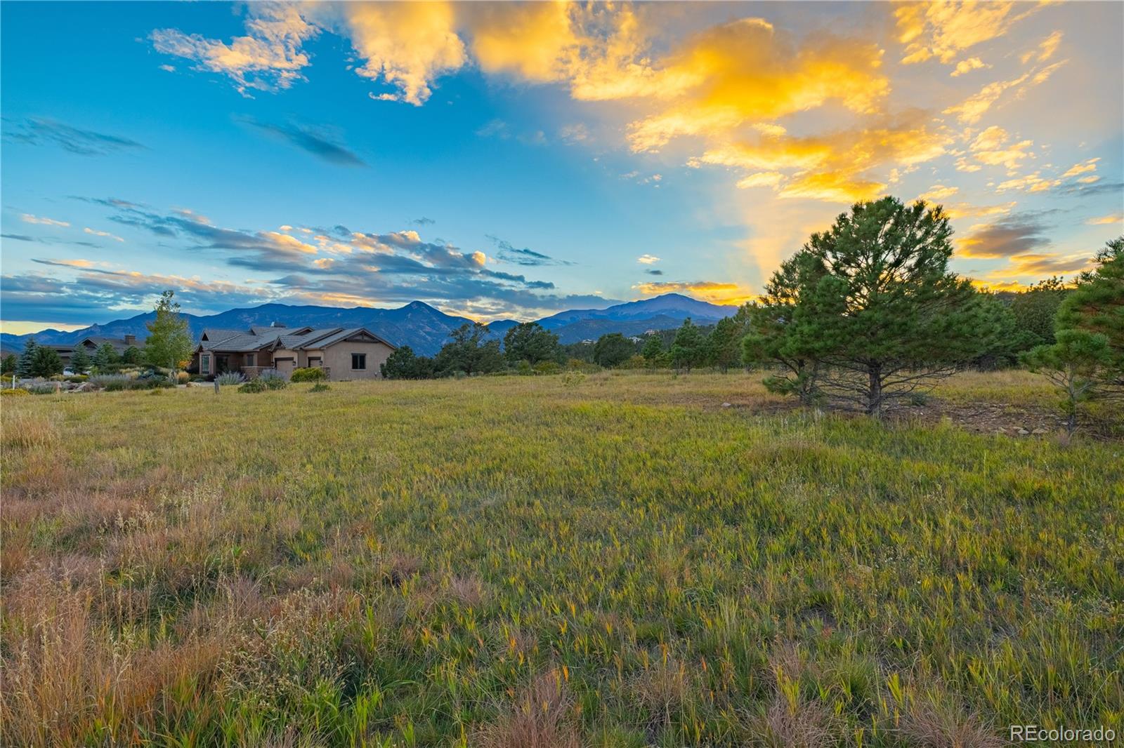 3760 Twisted Oak Circle