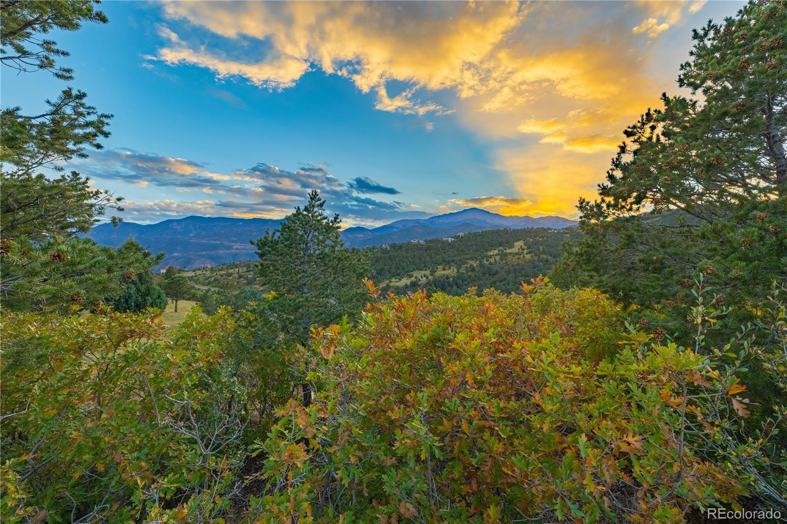 3760 Twisted Oak Circle