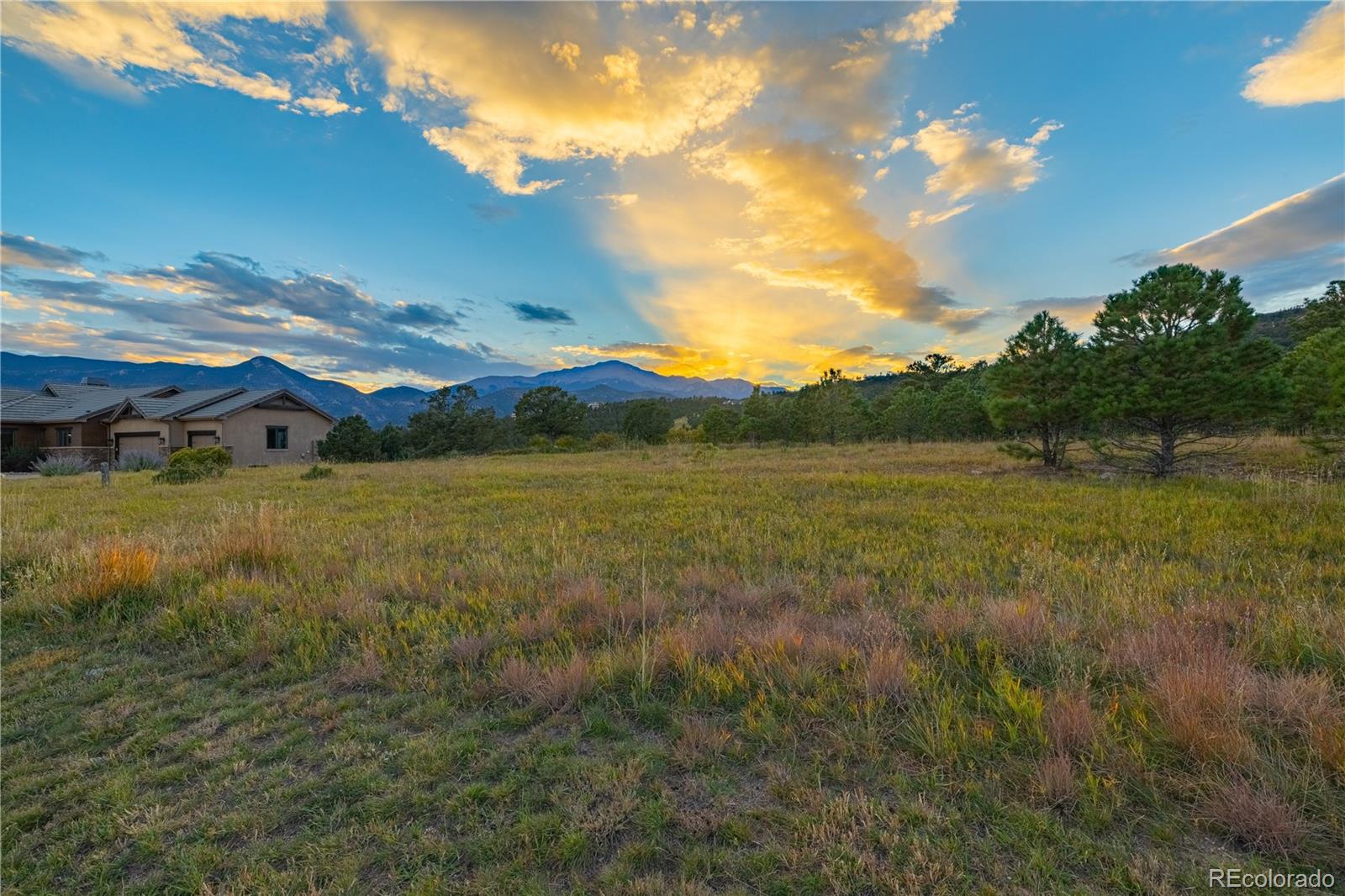 3760 Twisted Oak Circle