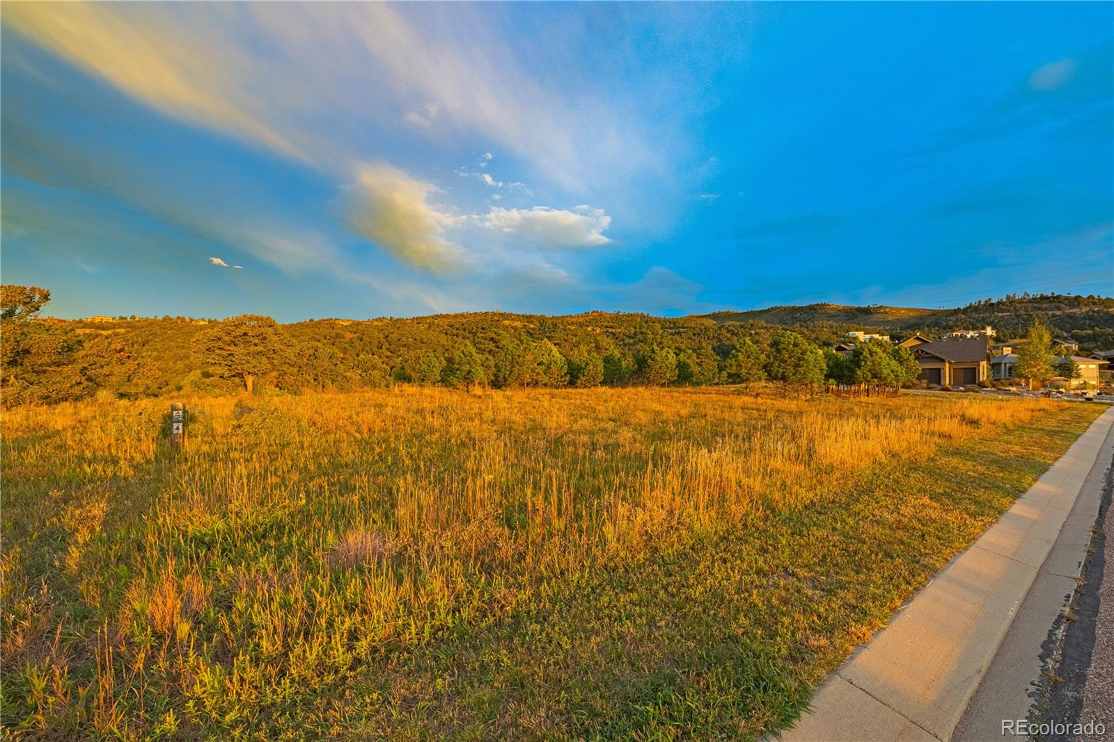 3760 Twisted Oak Circle