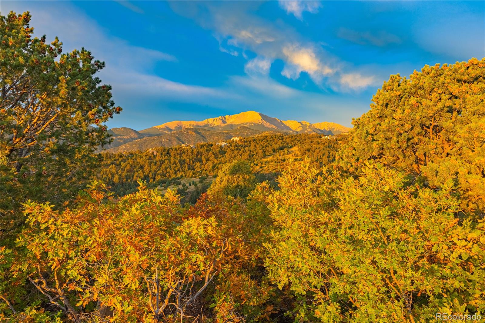 3760 Twisted Oak Circle