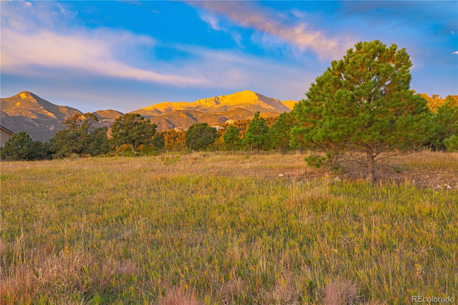 3760 Twisted Oak Circle