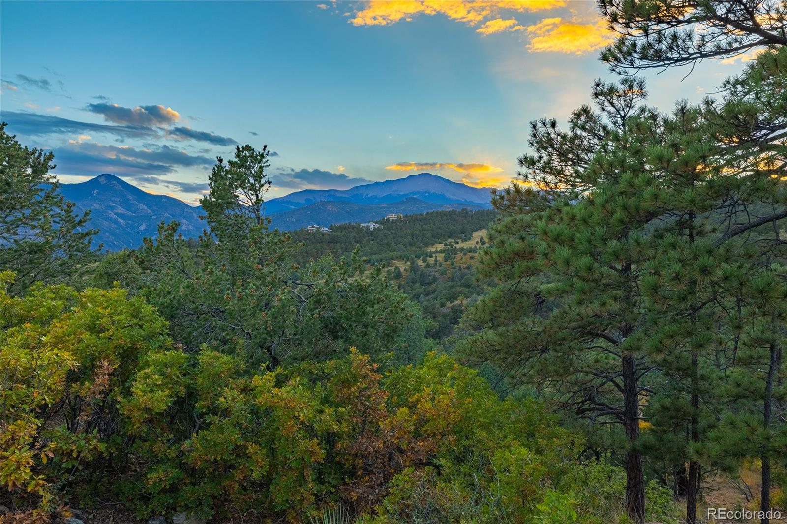 3760 Twisted Oak Circle