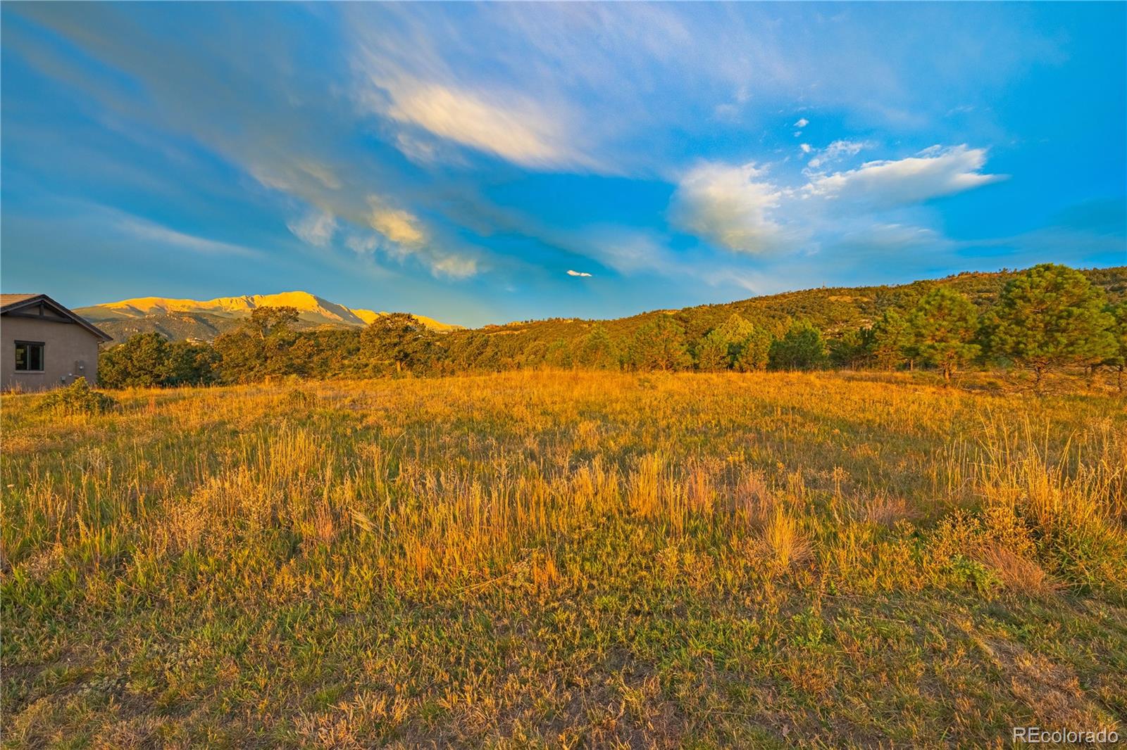 3760 Twisted Oak Circle