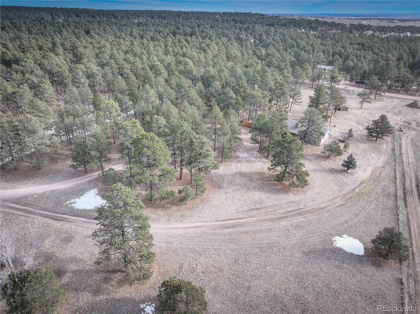 9845 Pine Park Trail