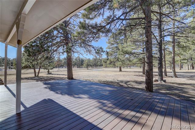 9845 Pine Park Trail
