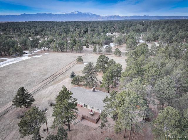 9845 Pine Park Trail