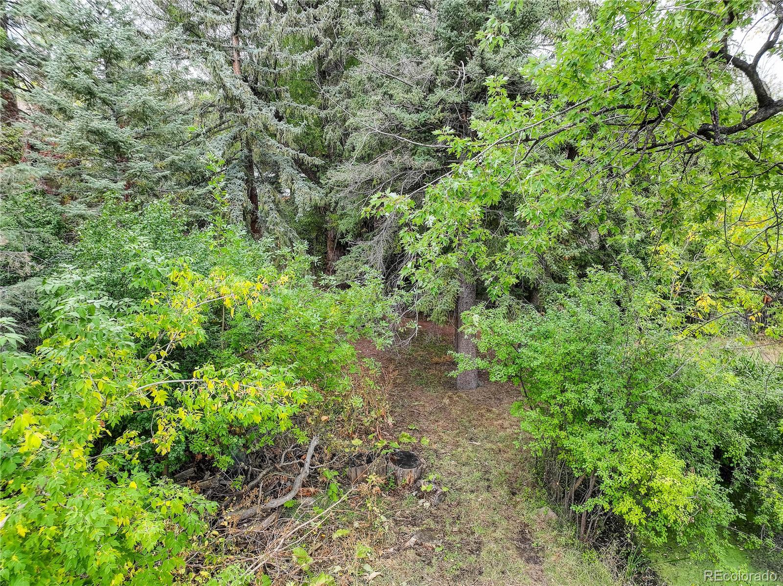 1604 W Cheyenne Road