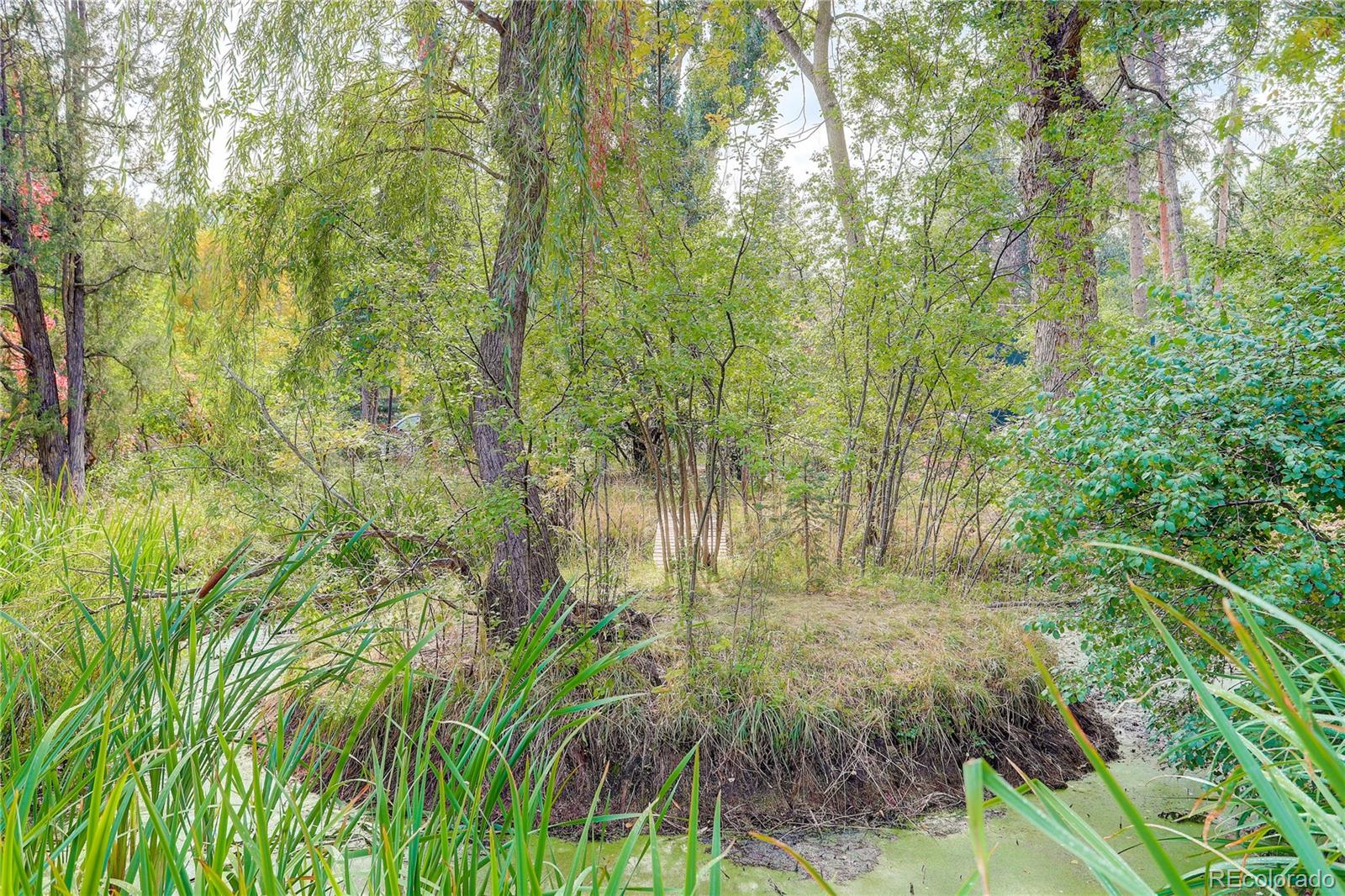 1604 W Cheyenne Road