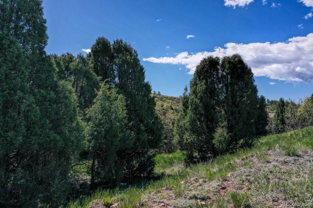 3455 Black Canyon Road