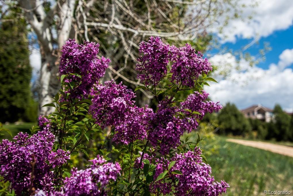 3455 Black Canyon Road