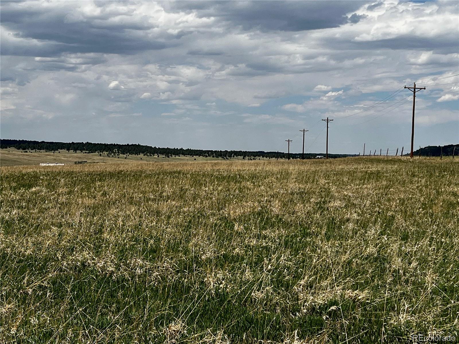 11970 Woodridge Terrace