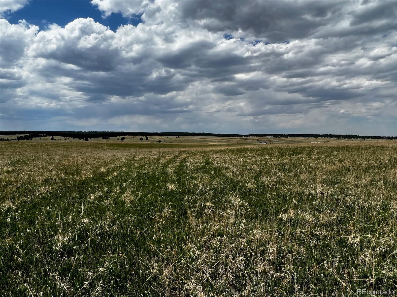 11970 Woodridge Terrace