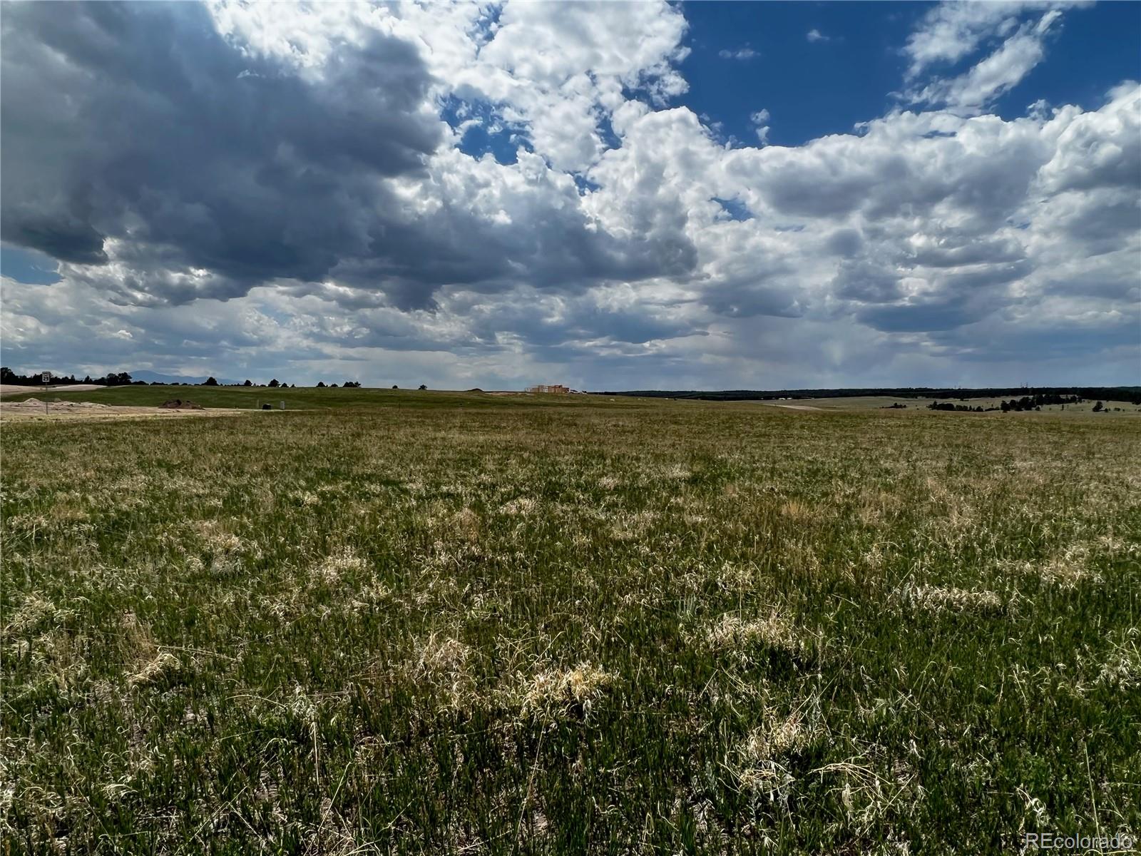 11970 Woodridge Terrace