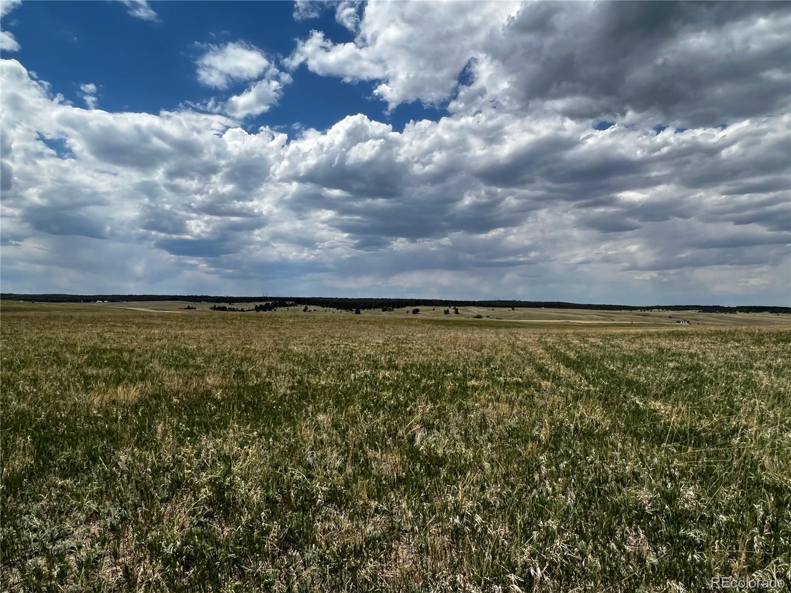 11970 Woodridge Terrace