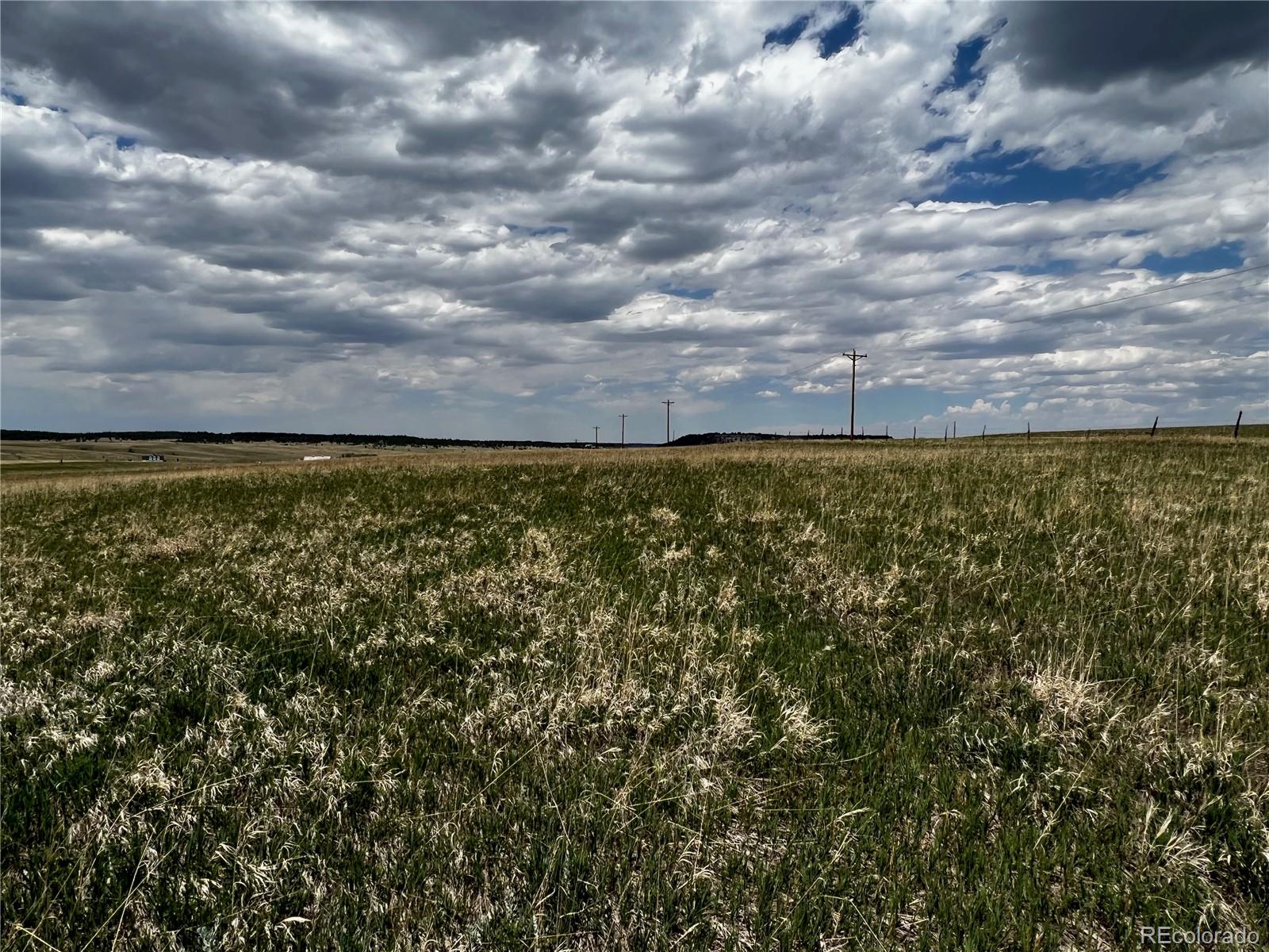 11970 Woodridge Terrace