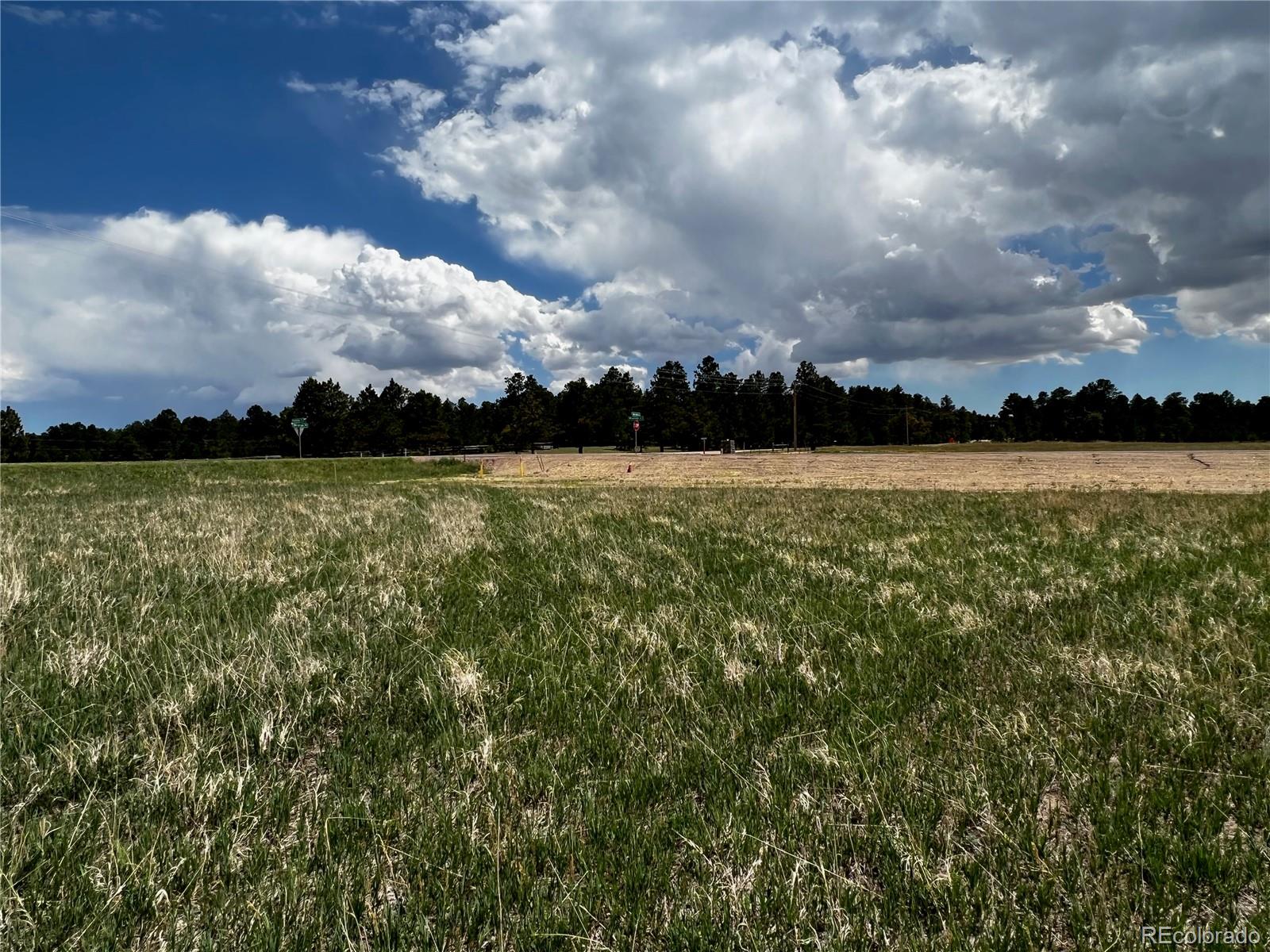 11970 Woodridge Terrace