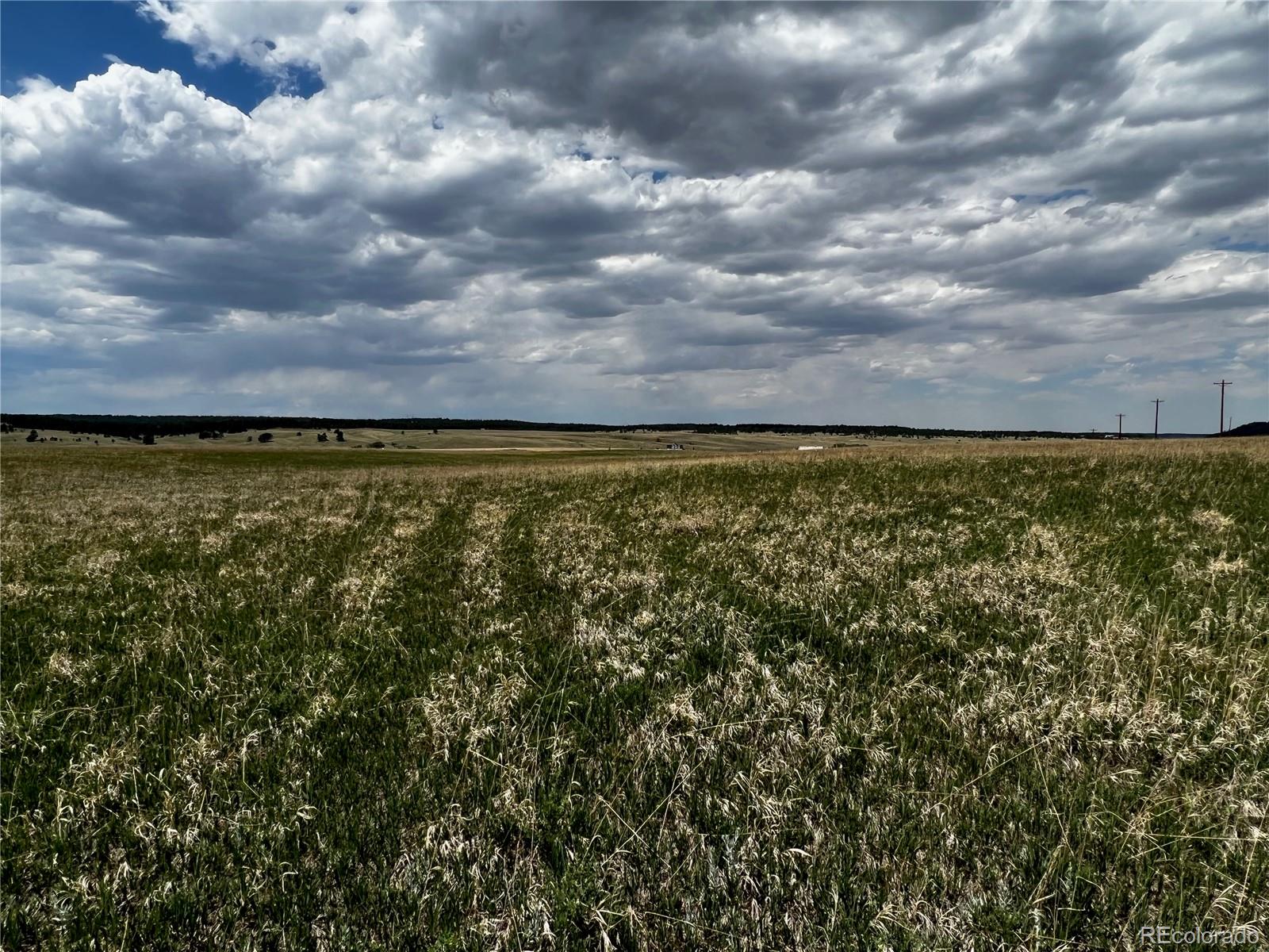 11970 Woodridge Terrace