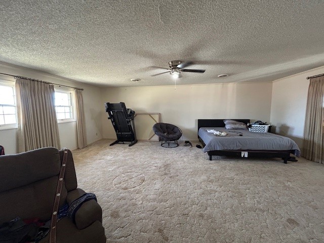 6 S 1803 Highway