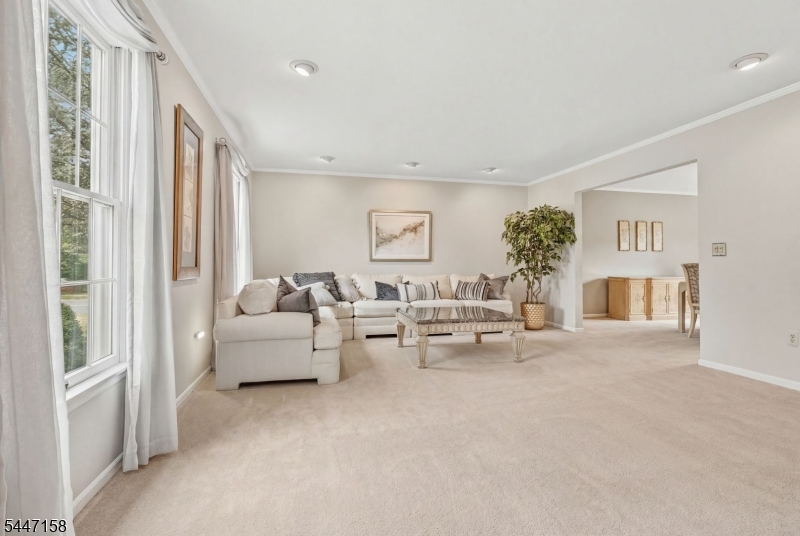 1 Witzling Ct