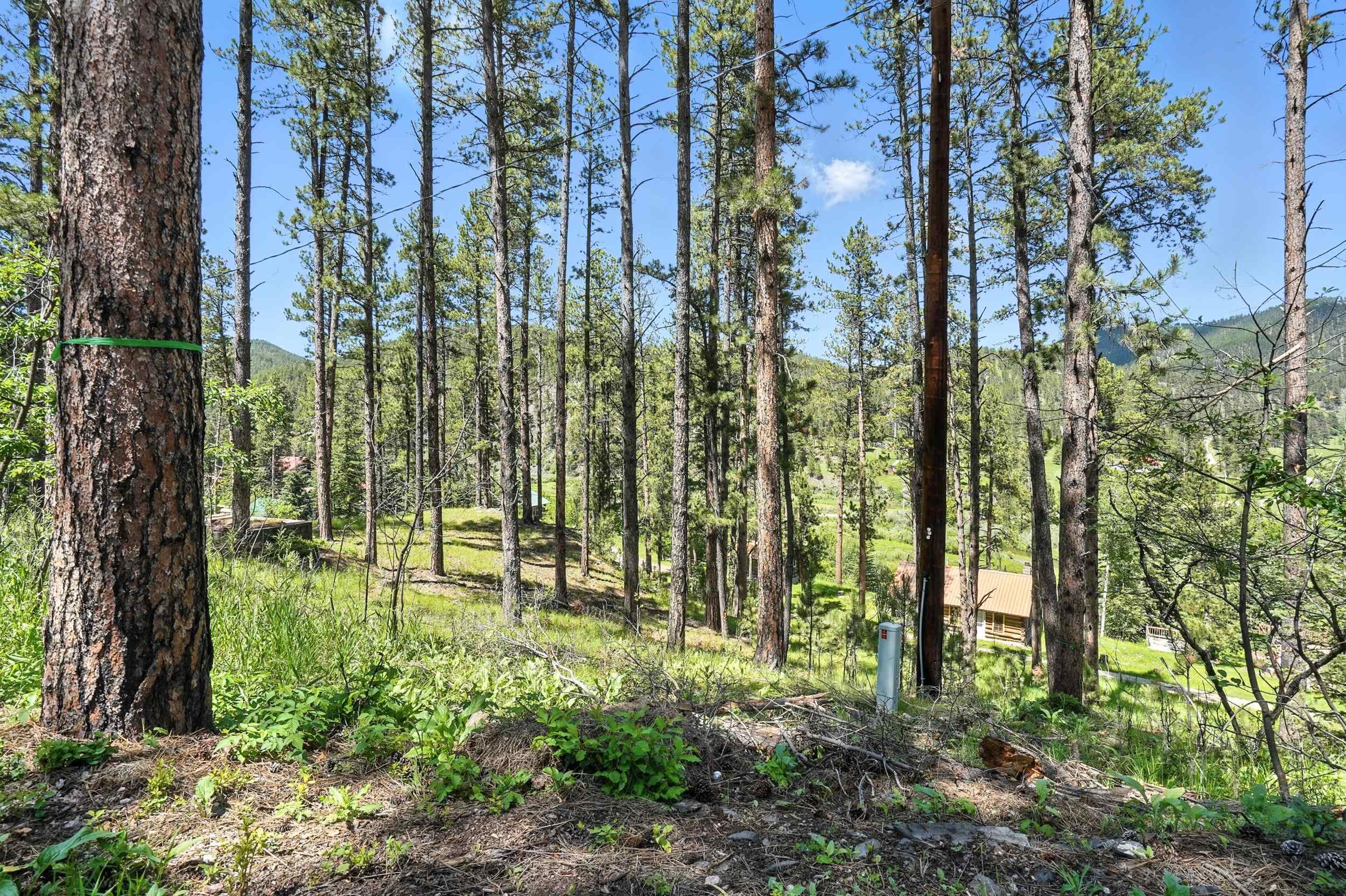 TBD St. Joseph Street