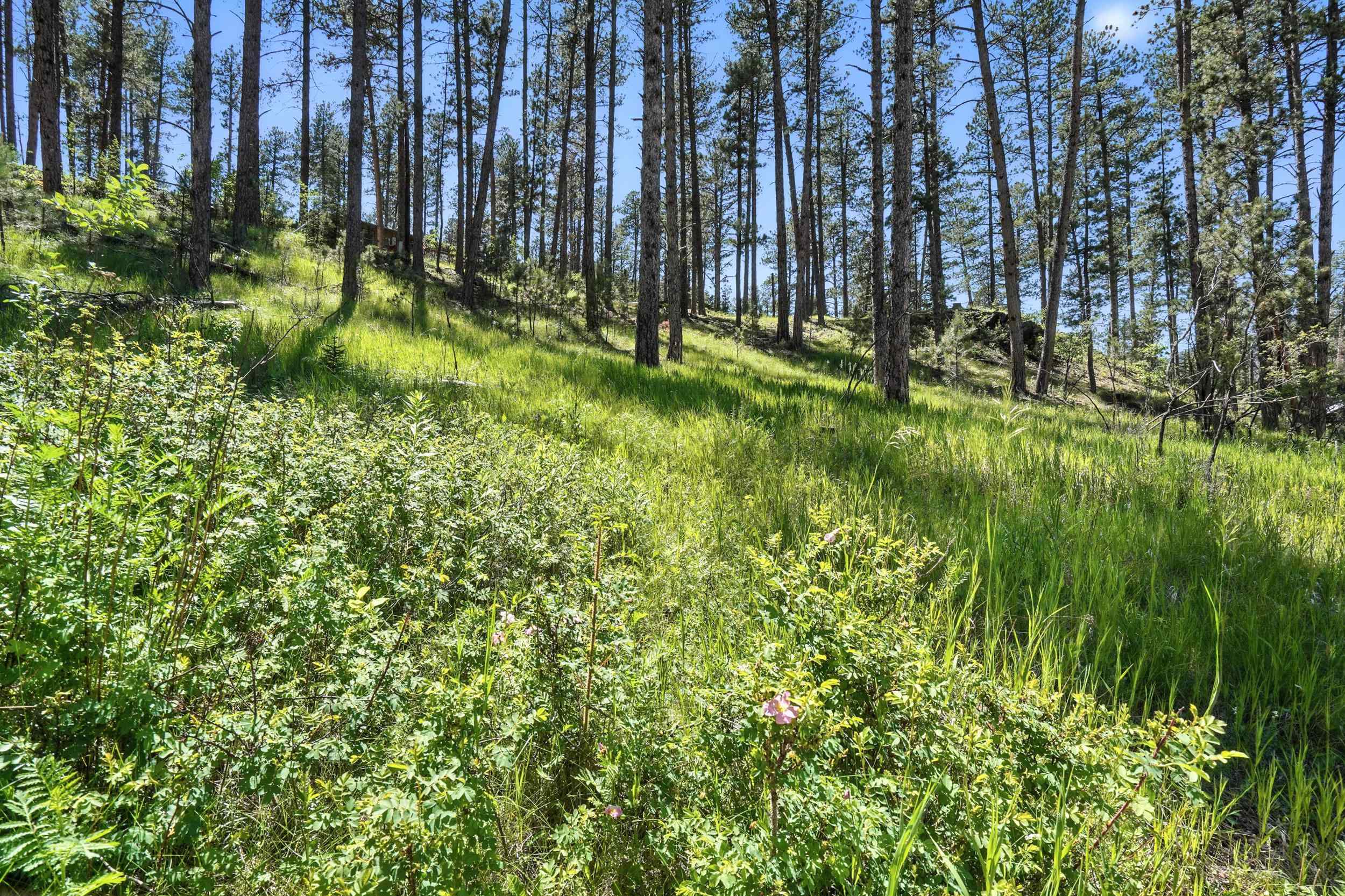 TBD St. Joseph Street