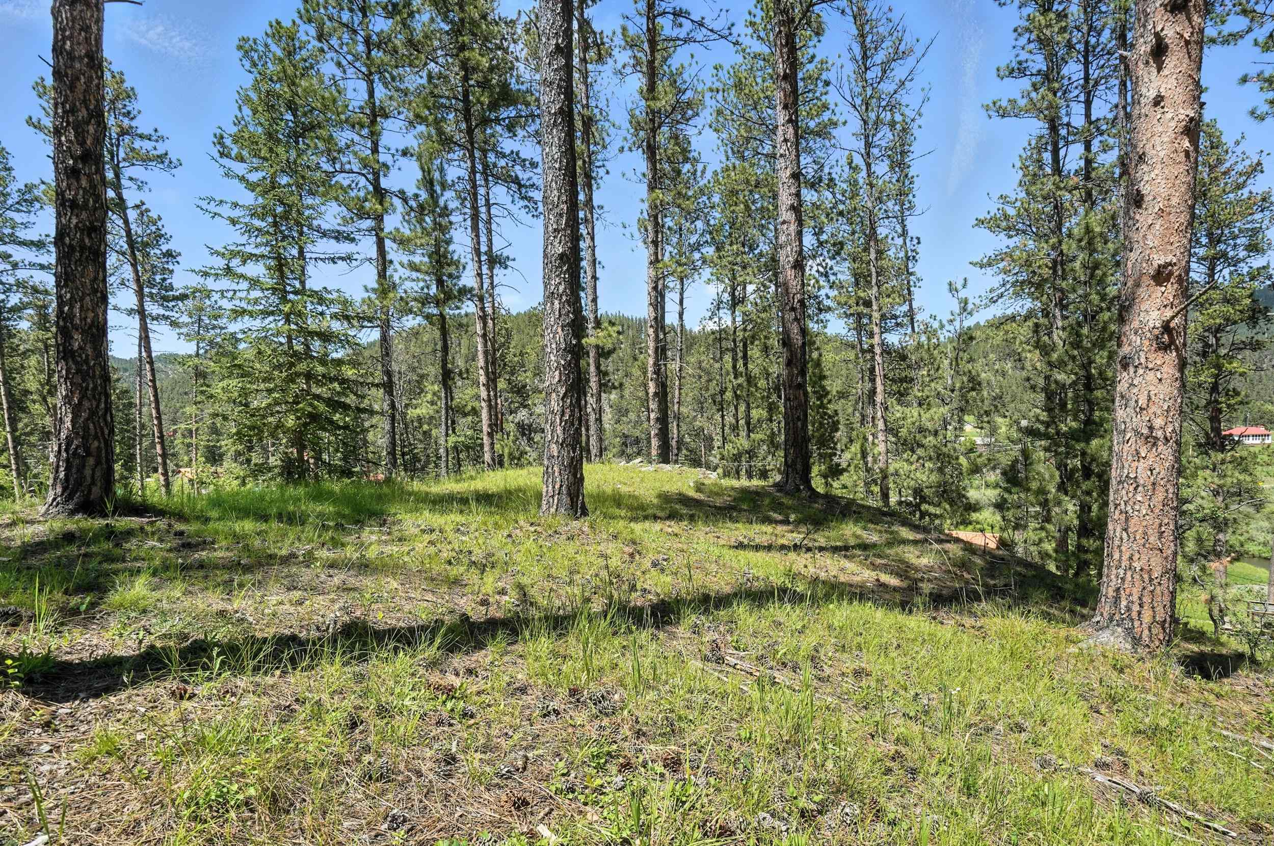 TBD St. Joseph Street