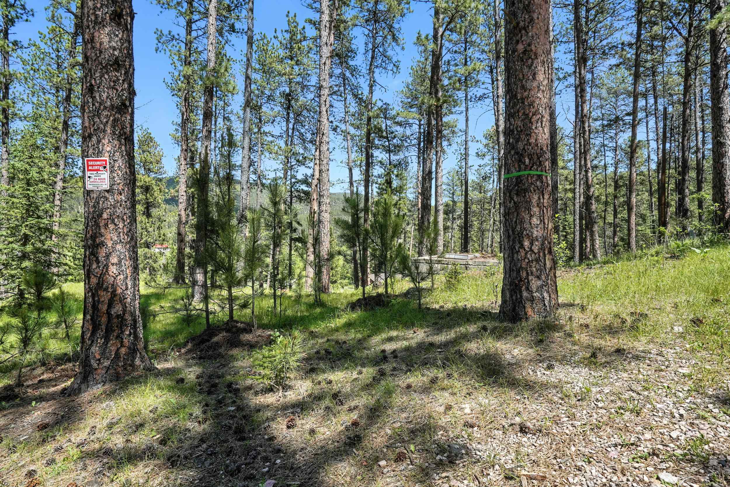 TBD St. Joseph Street