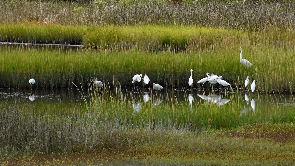 96744 SOAP CREEK DRIVE