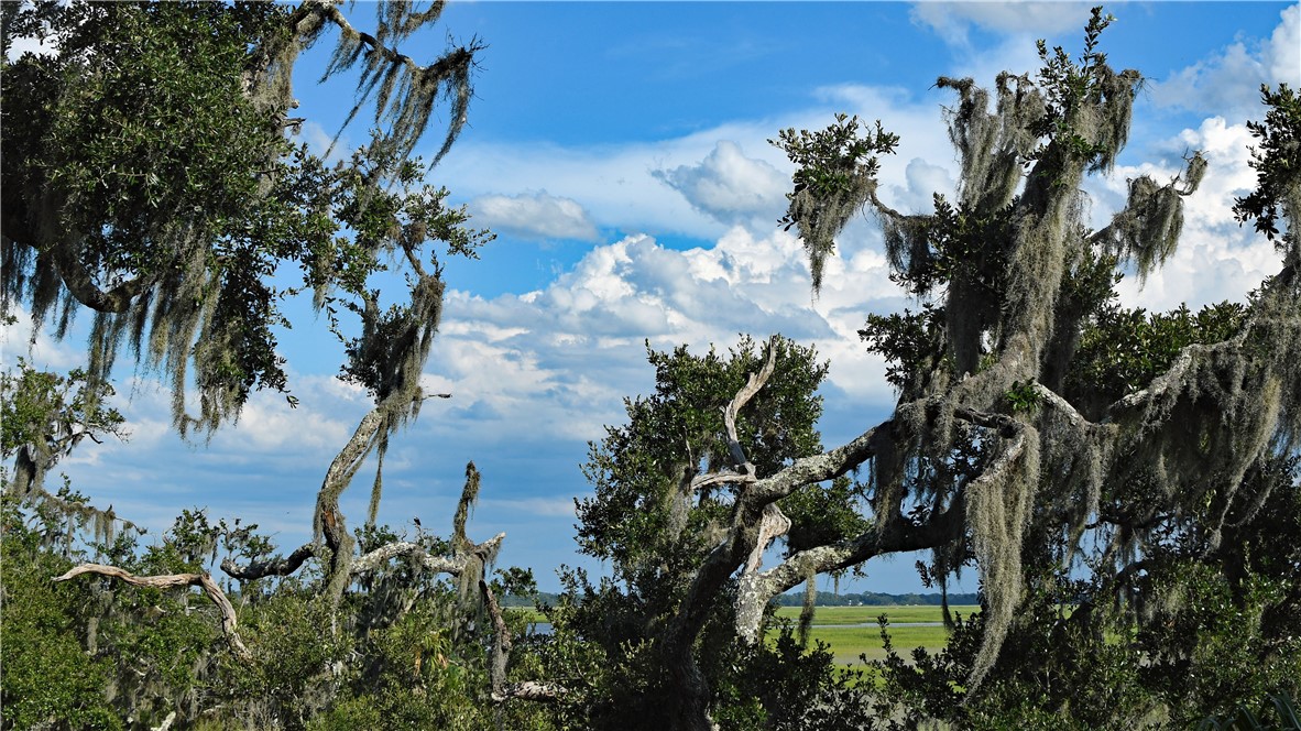 96744 SOAP CREEK DRIVE