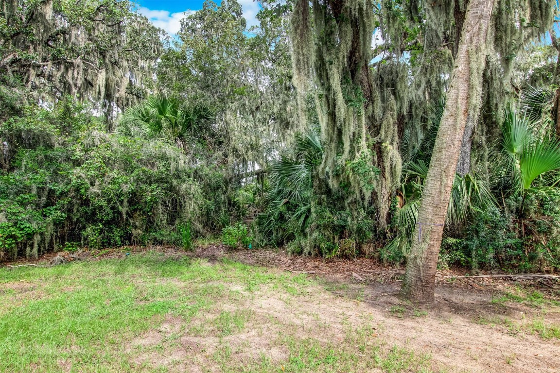 96424 SOAP CREEK DRIVE