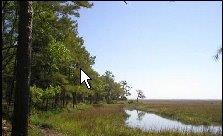 940184 OLD NASSAUVILLE ROAD