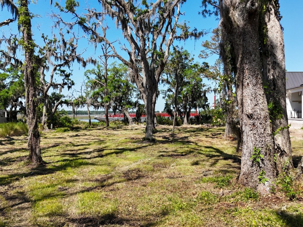 36 SALT HAMMOCK COURT