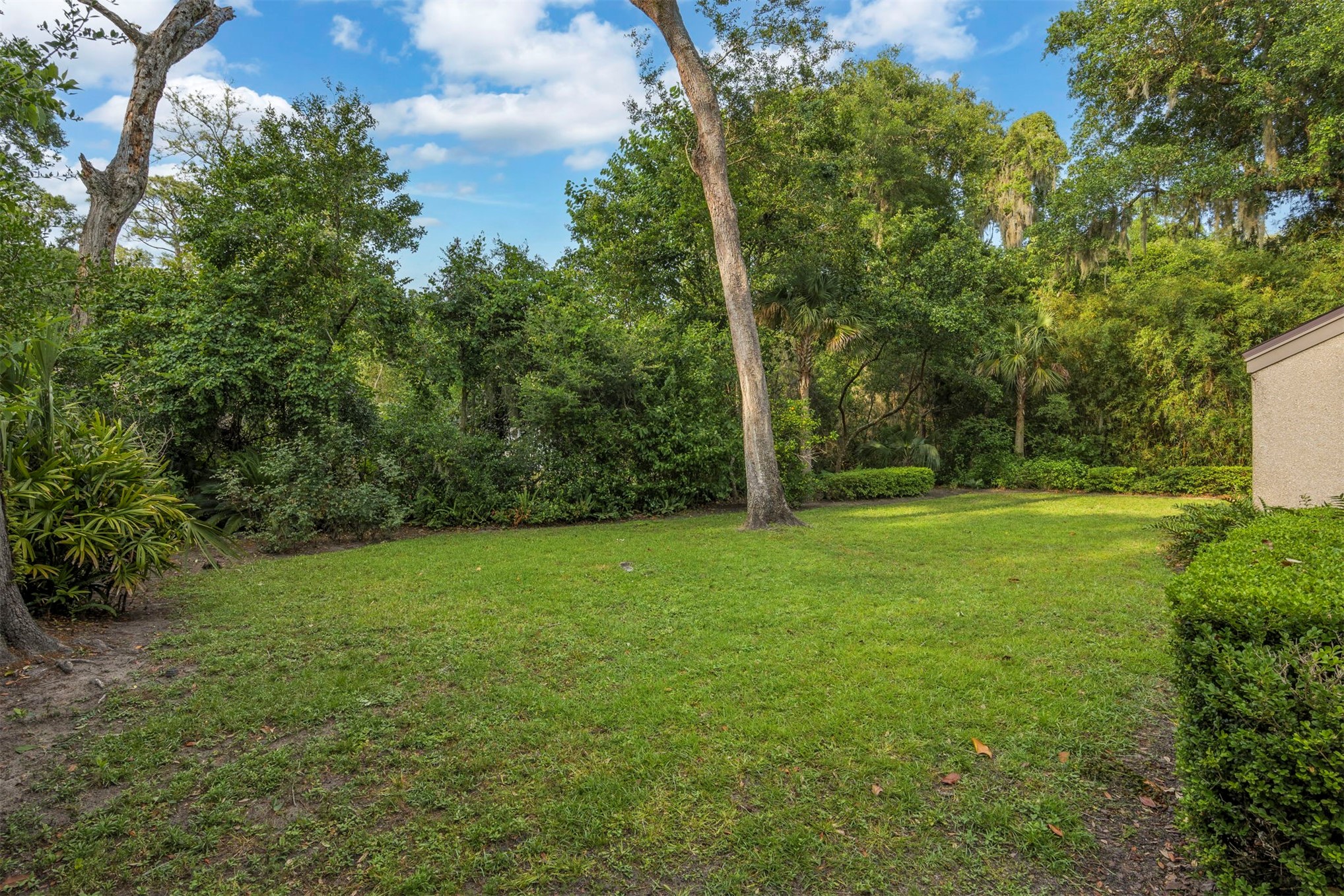 3 WATER OAK