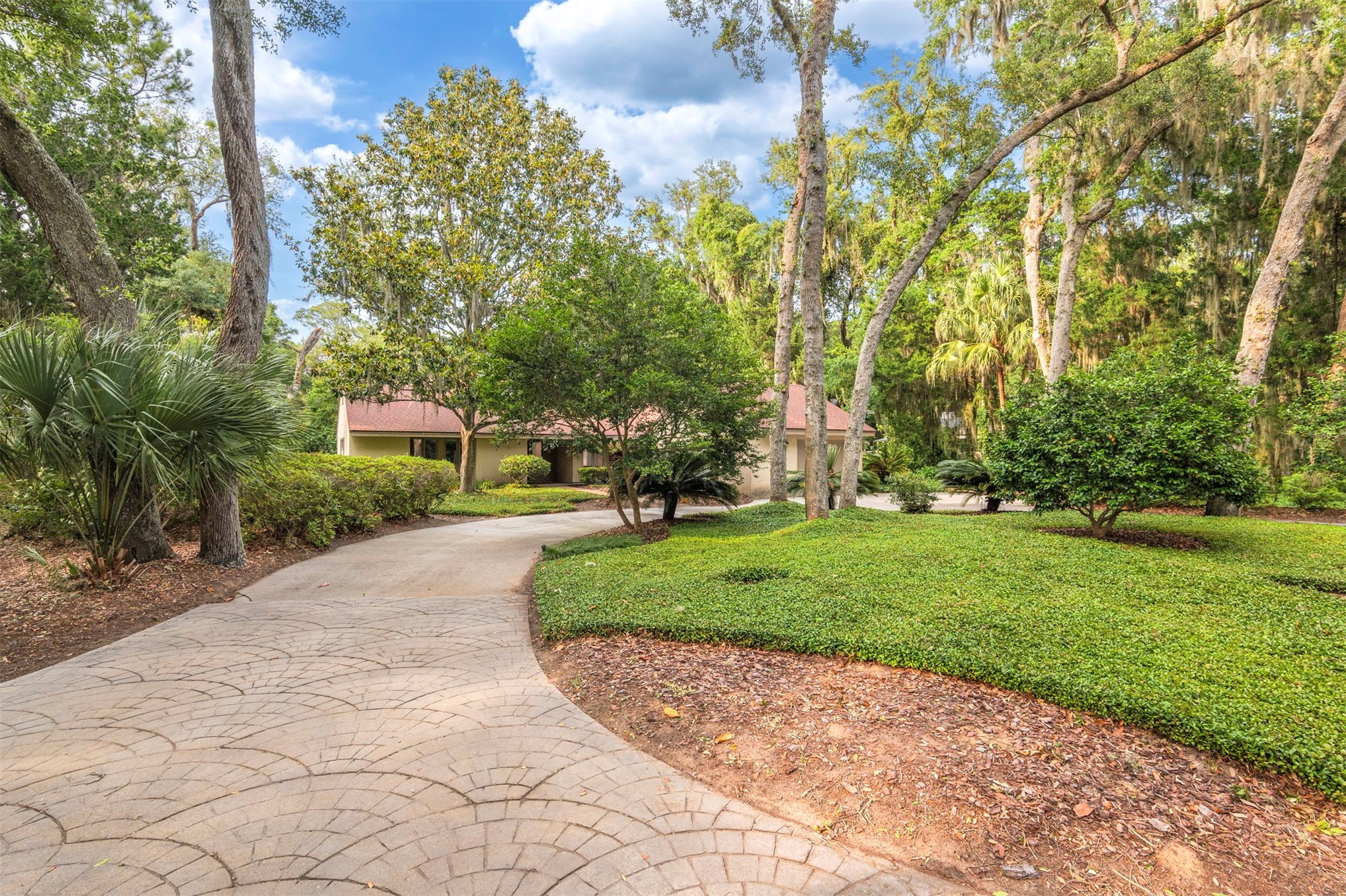 3 WATER OAK