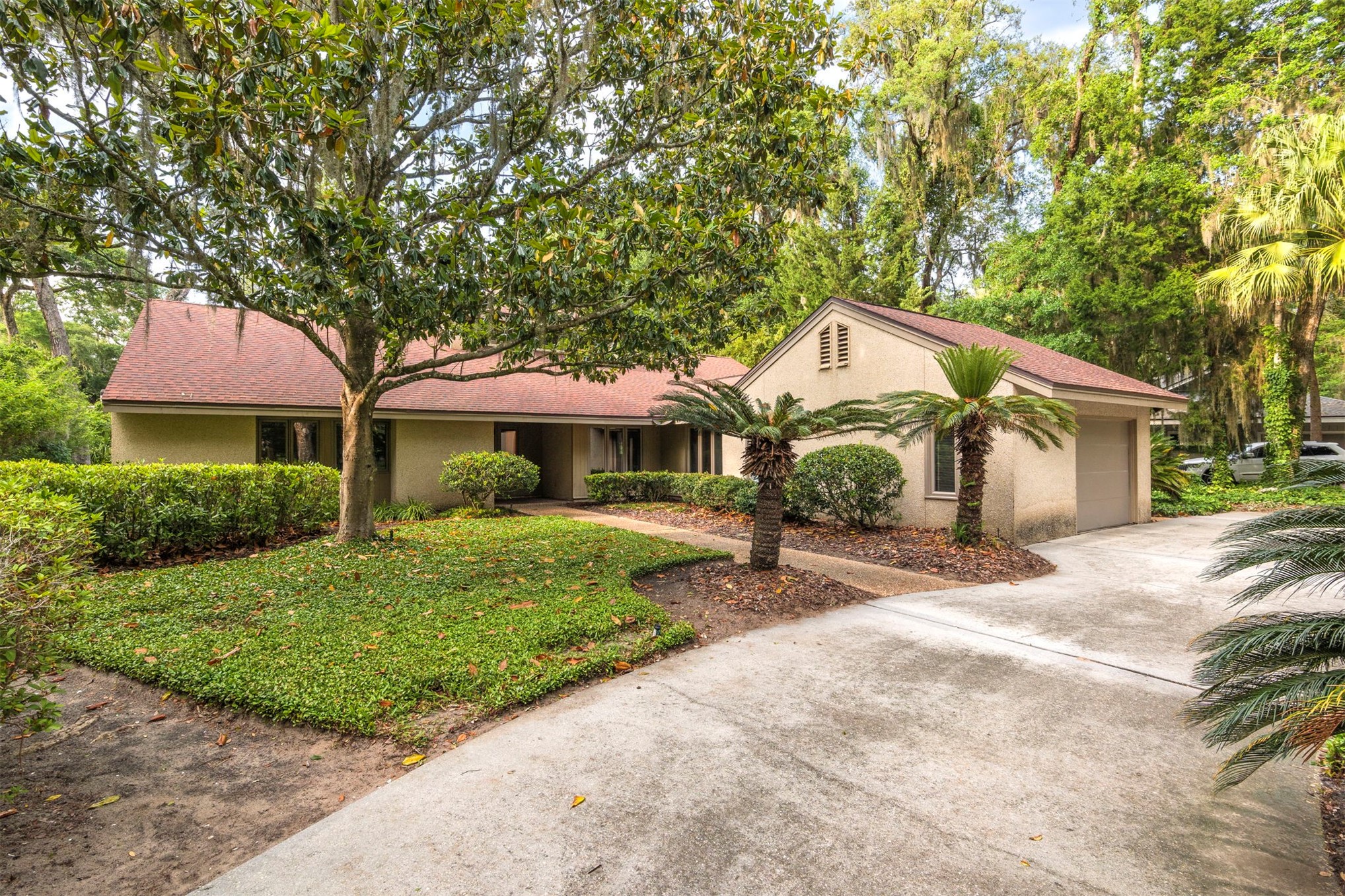 3 WATER OAK