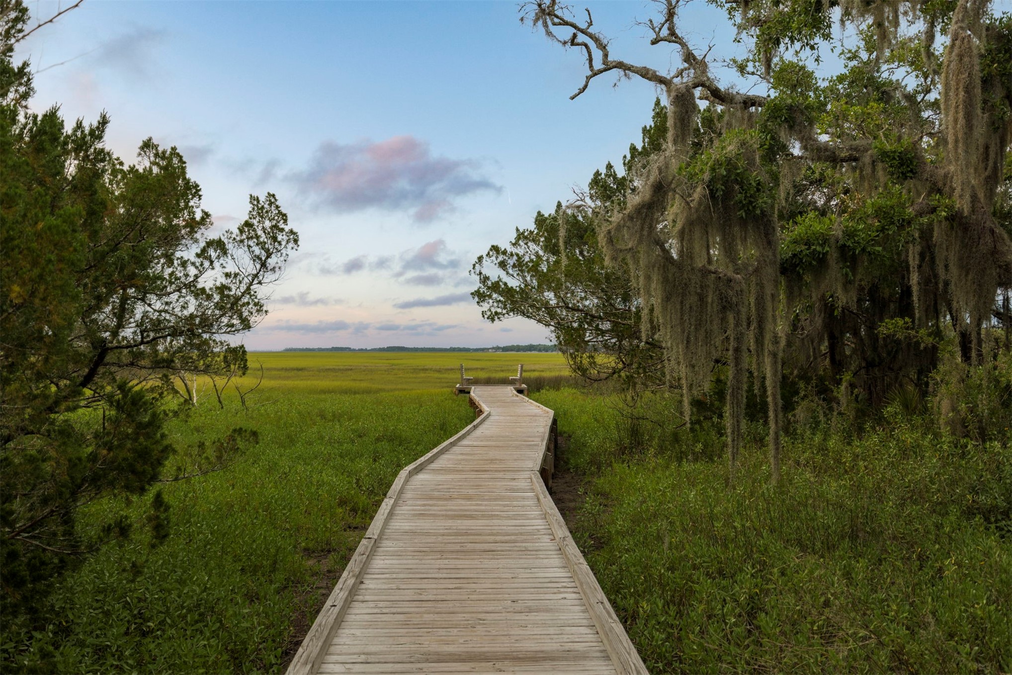 3 WATER OAK