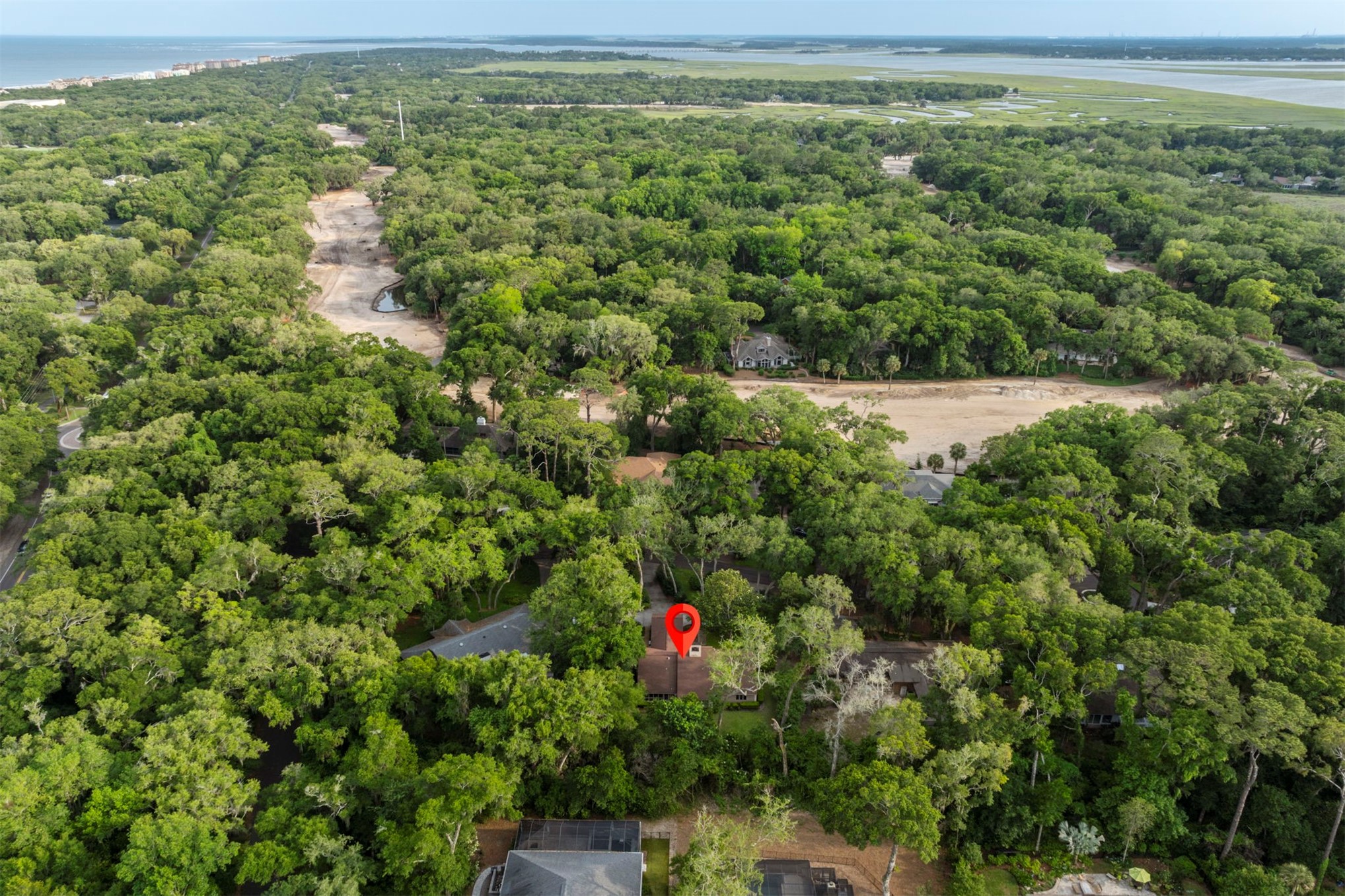 3 WATER OAK
