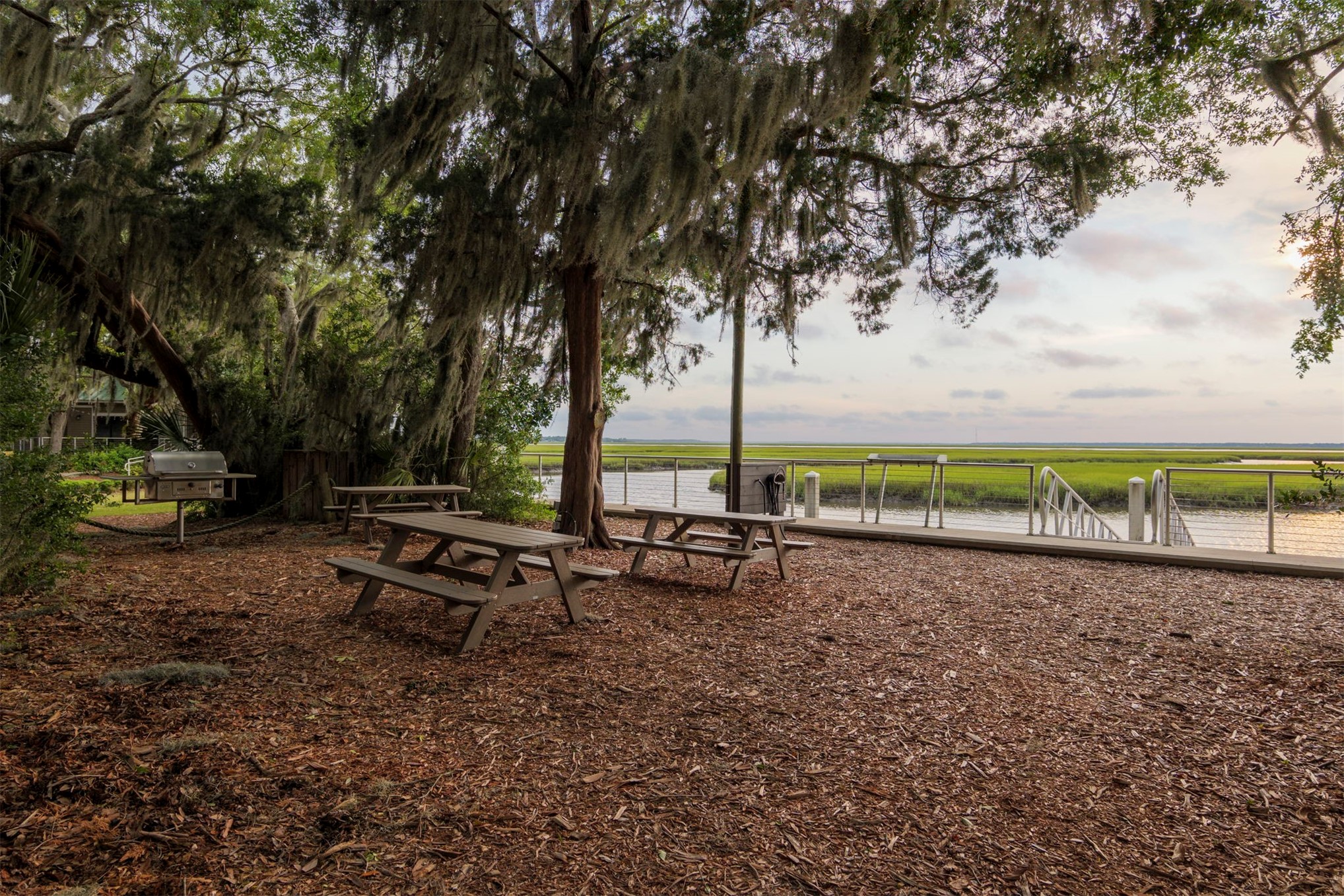 3 WATER OAK