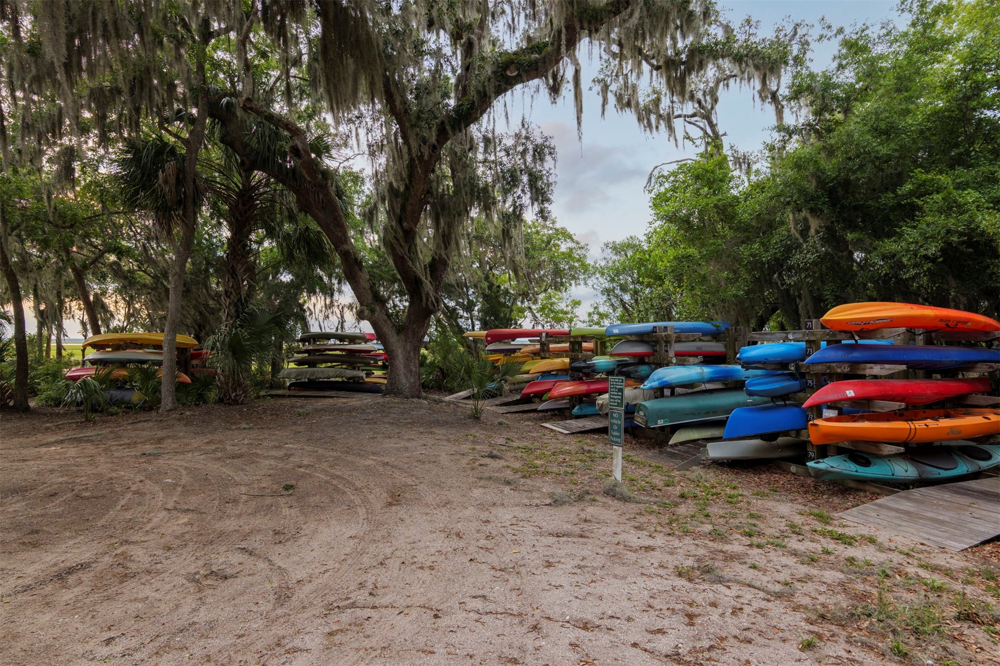 3 WATER OAK