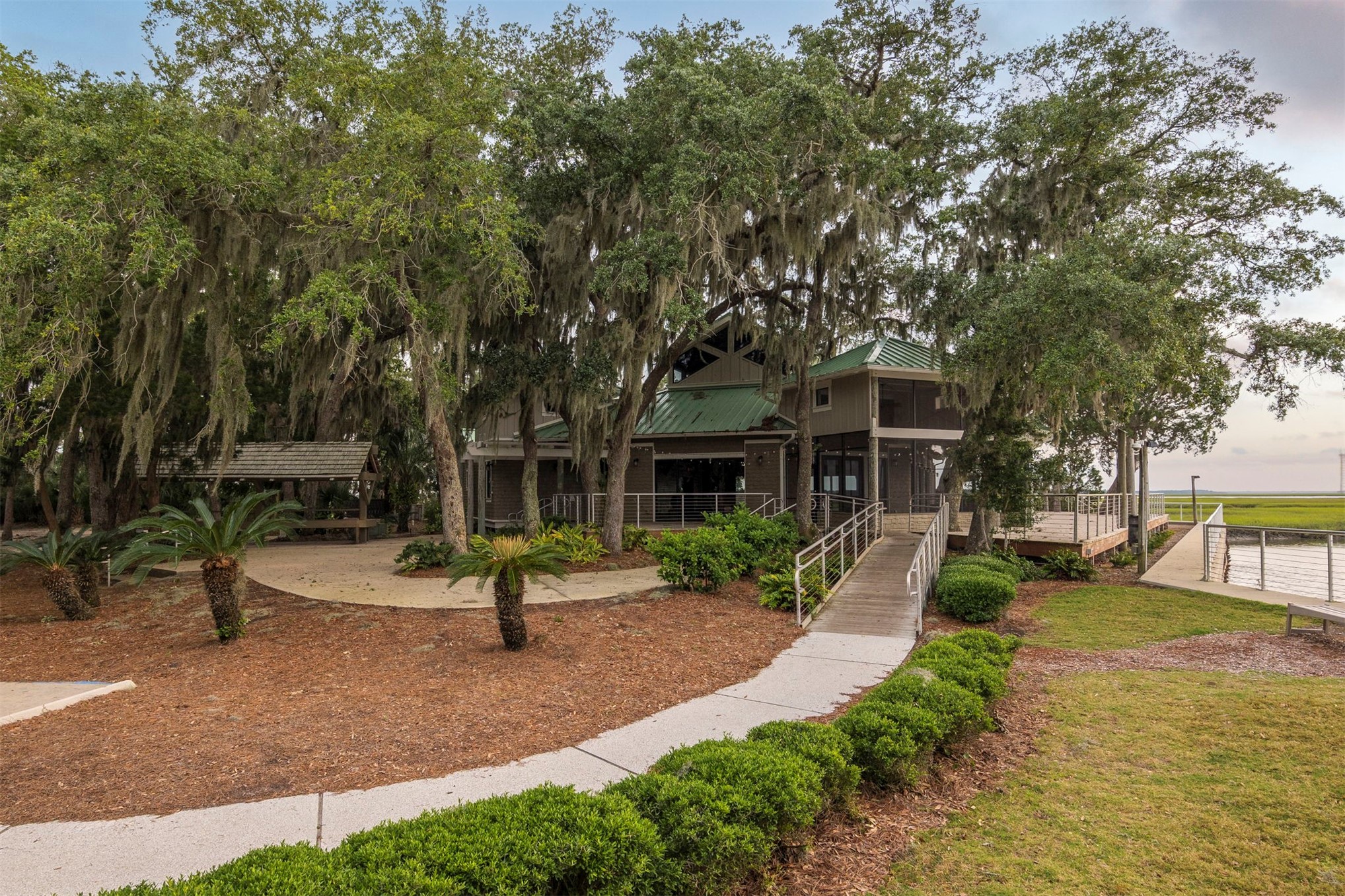 3 WATER OAK