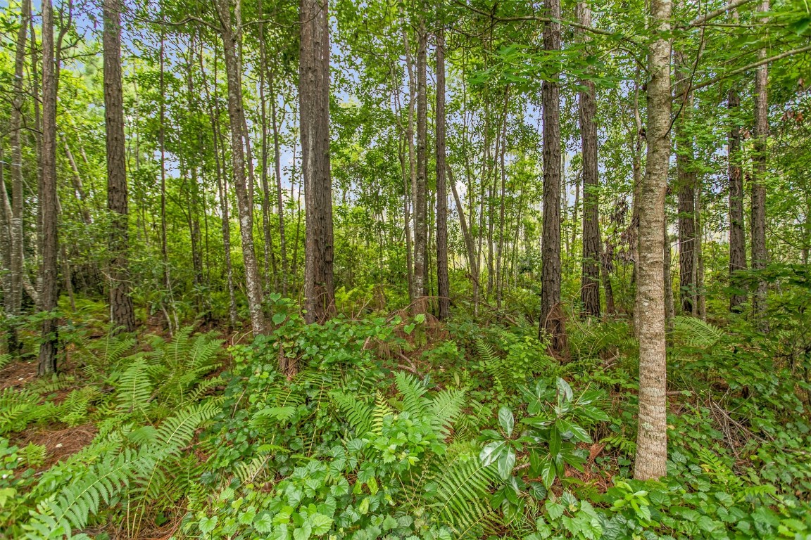 96551 COMMODORE POINT DRIVE