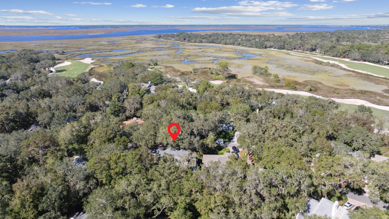 11 BELTED KINGFISHER