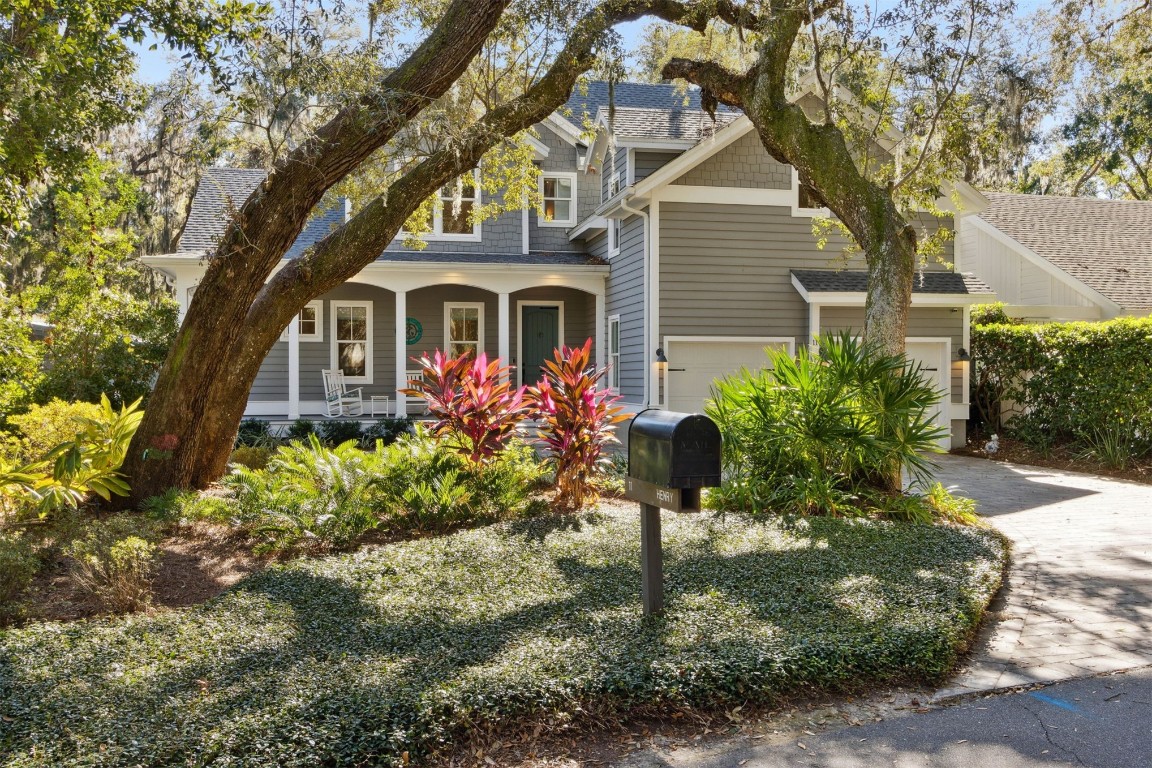 11 BELTED KINGFISHER