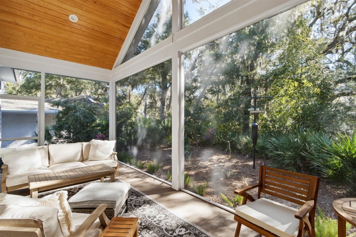 11 BELTED KINGFISHER