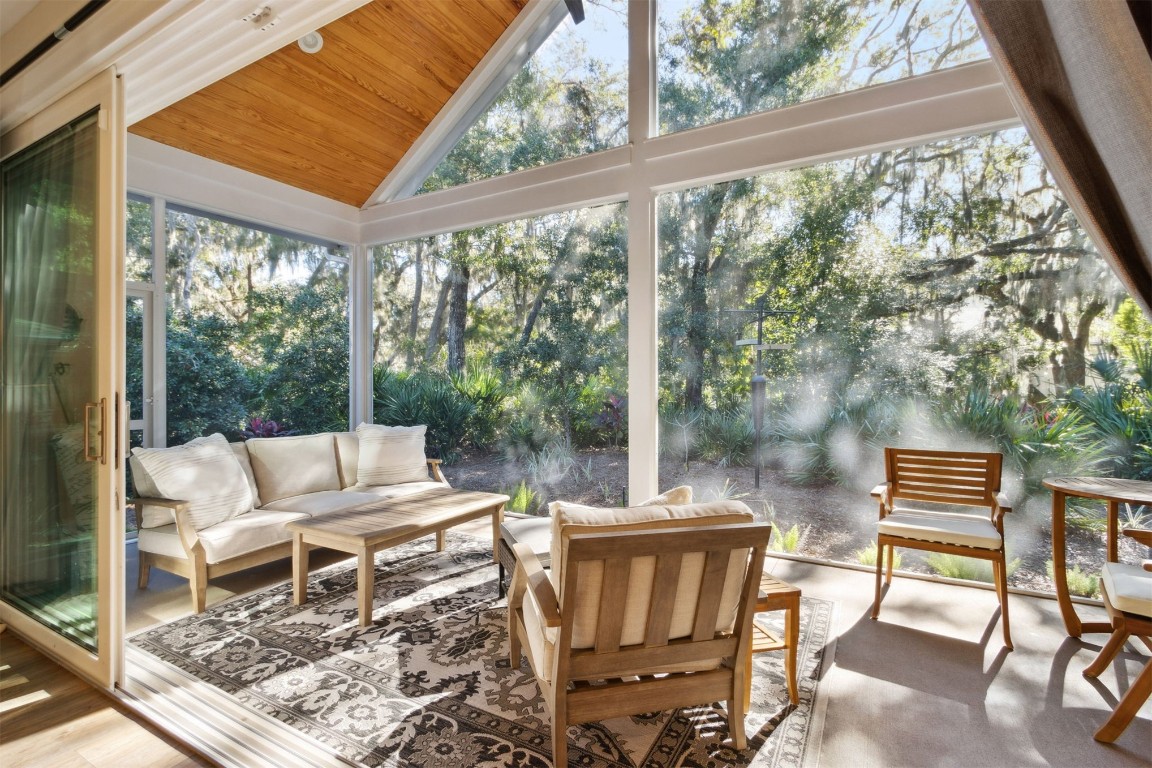 11 BELTED KINGFISHER