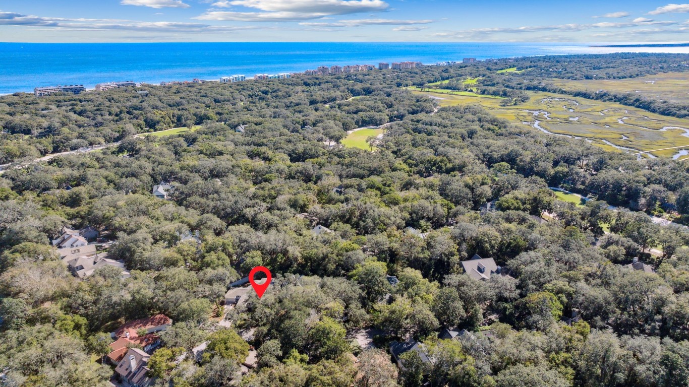 11 BELTED KINGFISHER