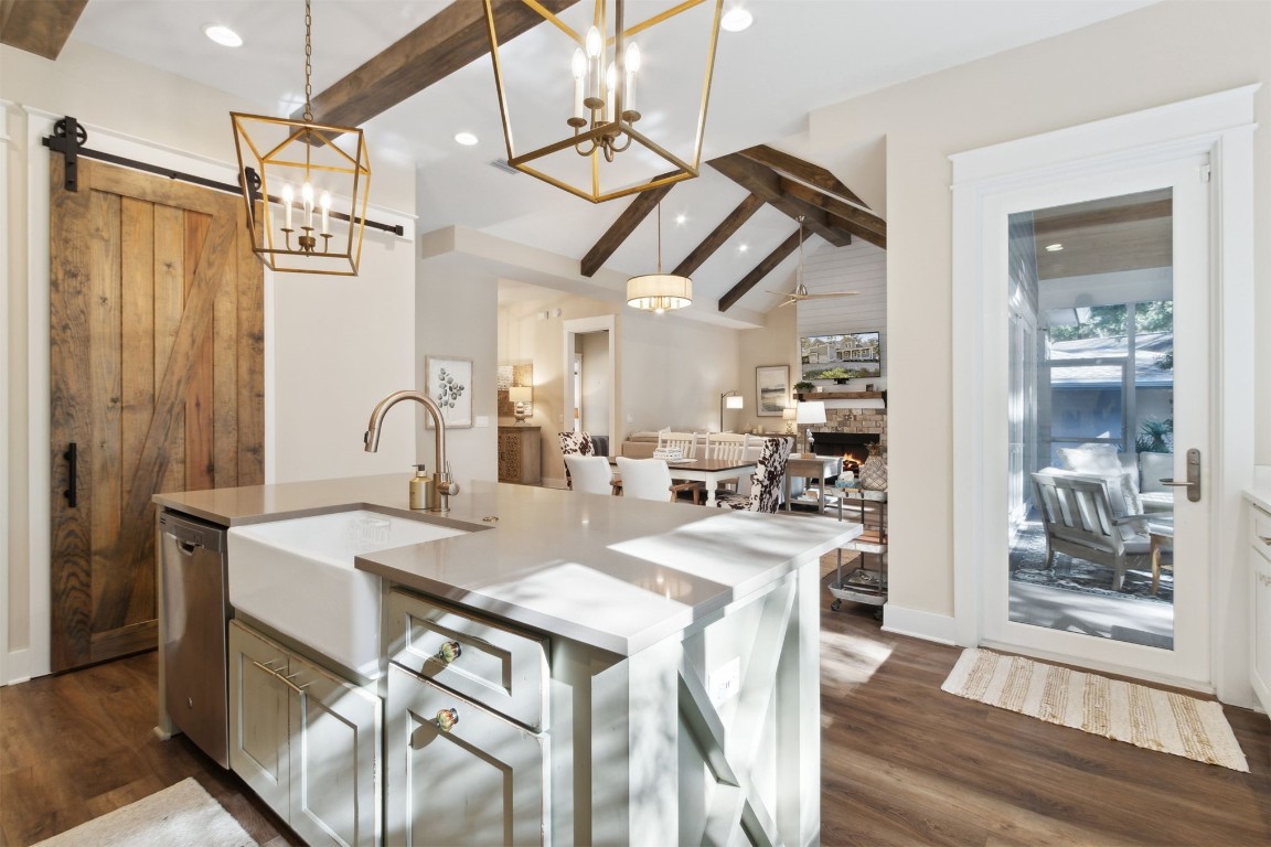 11 BELTED KINGFISHER