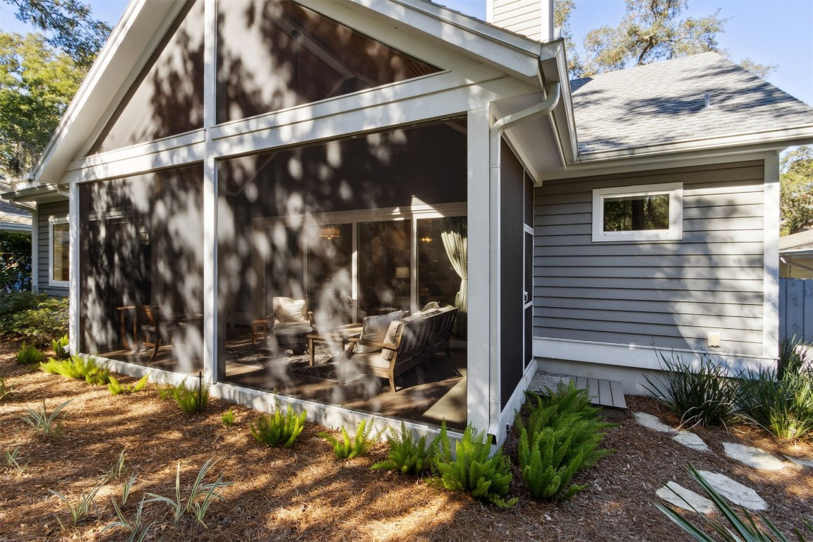 11 BELTED KINGFISHER